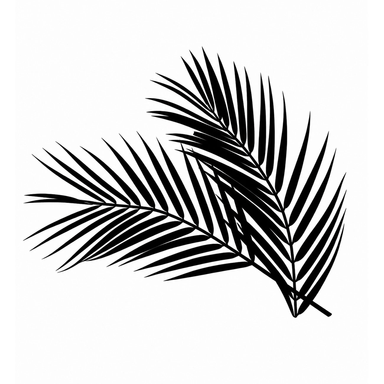 Palm gobo