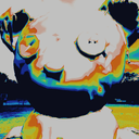 Thermal